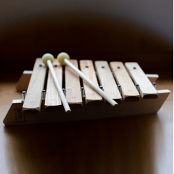 Auris Pentatonic Xylophone
