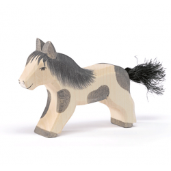 Ostheimer Shetland Pony Running
