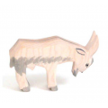 Ostheimer White Goat
