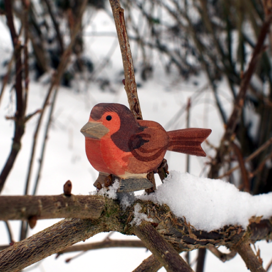 Ostheimer Robin