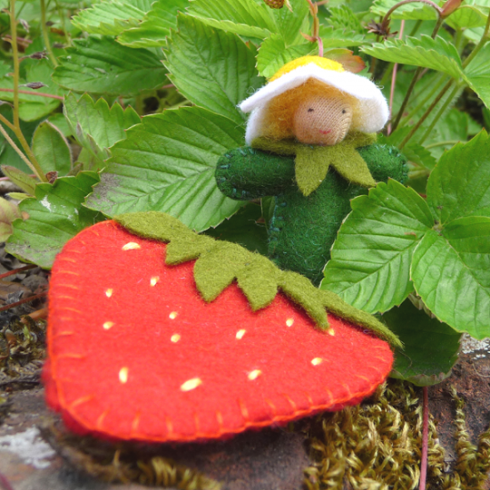 Myriad Strawberry Bud Baby Kit