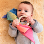 Sarah's Silks Teether - Rainbow 