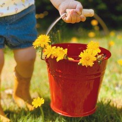 Gluckskafer Metal Bucket