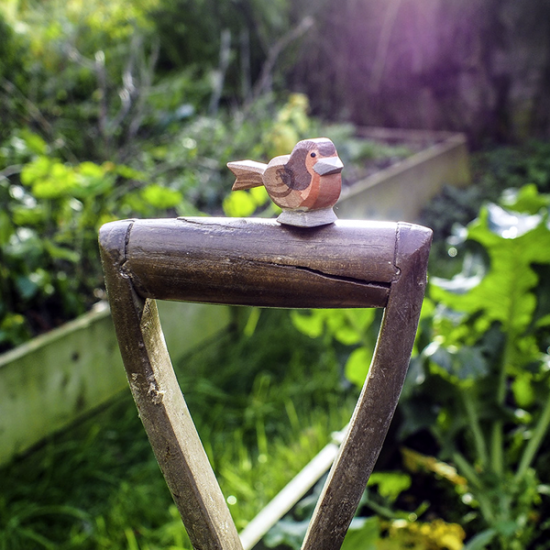 Ostheimer Robin