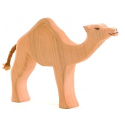 Ostheimer Camel Dromedary