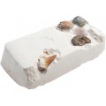 Dig Your Own Fossils
