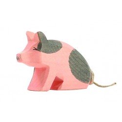 Ostheimer Spotted Piglet Sitting