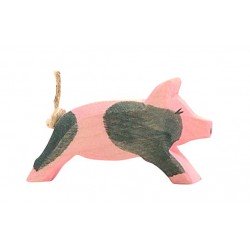 Ostheimer Spotted Piglet Running