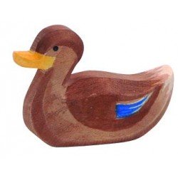 Ostheimer Duck Swimming