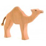 Ostheimer Camel Dromedary