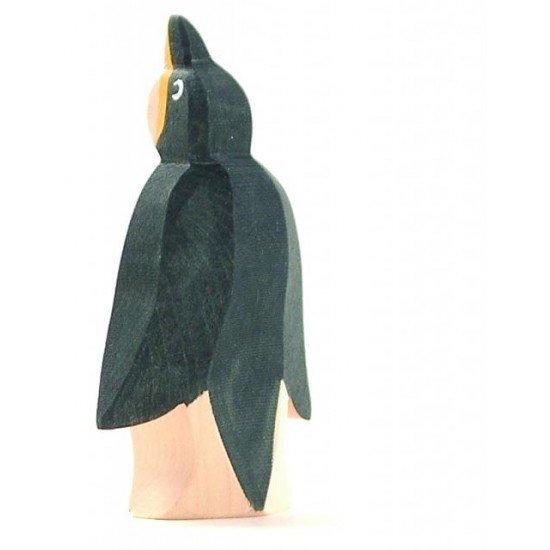 Ostheimer Penguin looking up