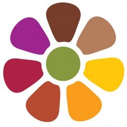 wool Felt Sample Pack: Autumn Colours