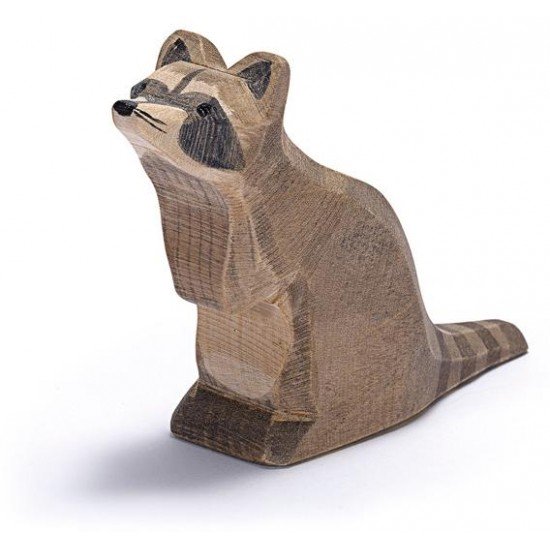 Ostheimer Raccoon Sitting