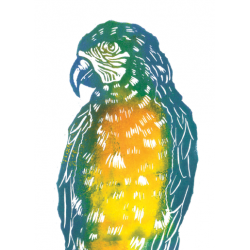 Greetings Card Parrot