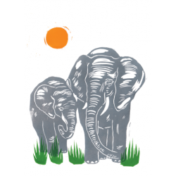 Greetings Card Two Elephants Standing