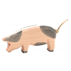 Ostheimer Spotted Pig  Head Low  