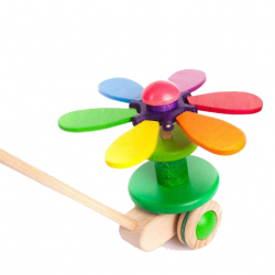 Bajo Flower Rainbow Push Along
