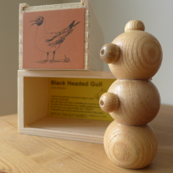 Bird Call - Black-Headed Gull 