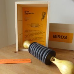 Bird Call - Green Woodpecker 