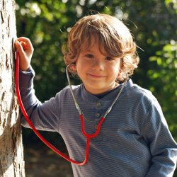 Kraul Stethoscope