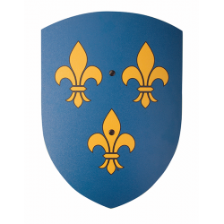 Fleur de Lis Shield