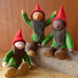 Ambrosius Pocket Gnome Ilex
