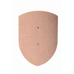 Curved Shield Unpainted