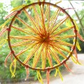 Wooden Hoop