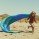 giant silks