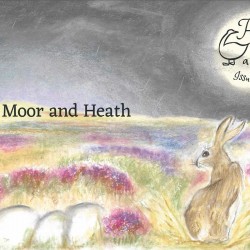 A Year and a Day Issue 14 - Moor & Heath