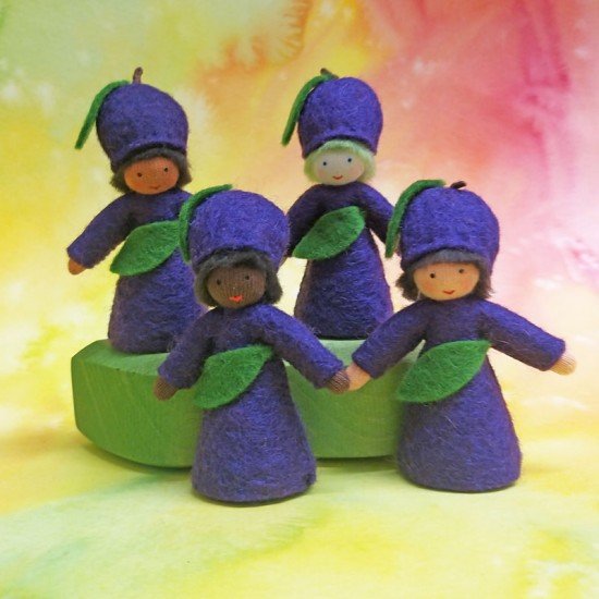 Ambrosius Fairy Plum Boy
