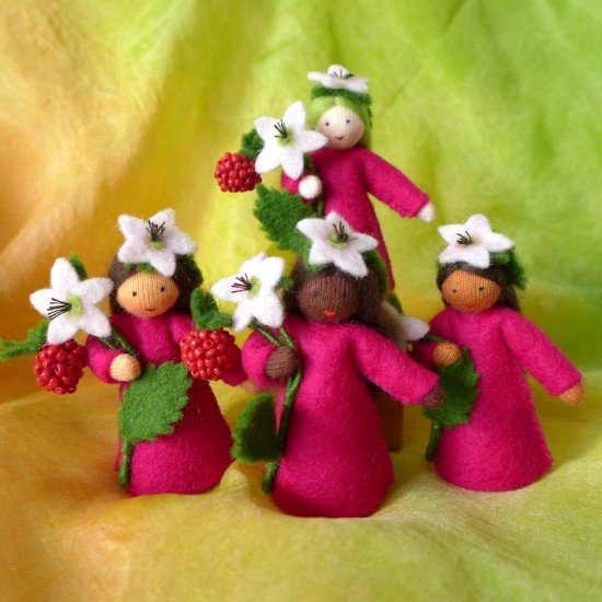 Ambrosius Fairy Raspberry in Hand