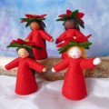 Ambrosius Fairy Poinsettia