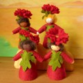 Ambrosius Fairy Michaelmas Daisy Boy