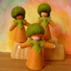 Ambrosius Fairy Pumpkin Boy