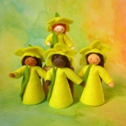 Ambrosius Fairy Daffodil on Head