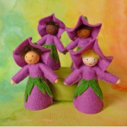 Ambrosius Fairy Morning Glory Purple