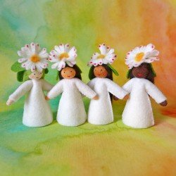 Ambrosius Fairy Common Daisy on Head