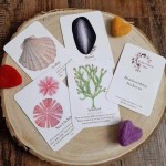 Pocket Set - Beachcombing