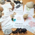 Pocket Set - Beachcombing