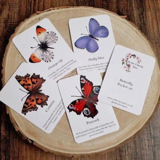 Pocket Set - Butterfly Identification 