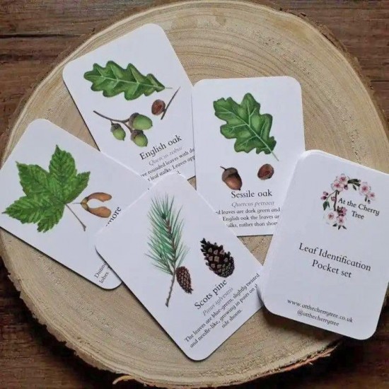 Pocket Set - Leaf Identification