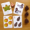 Autumn Counting Cards