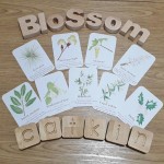 Pocket Set - Blossom Catkins & Flowers 