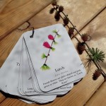 Pocket Set - Blossom Catkins & Flowers 