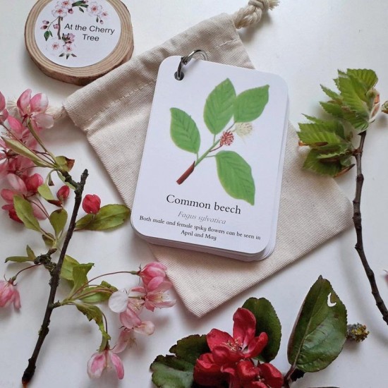 Pocket Set - Blossom Catkins & Flowers 