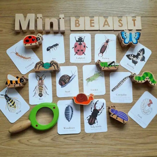 Pocket Set - Mini Beast