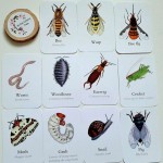 Pocket Set - Mini Beast