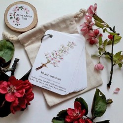 Pocket Set - Blossom Catkins & Flowers 
