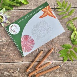Colour and Learn - Coastal Wildlife